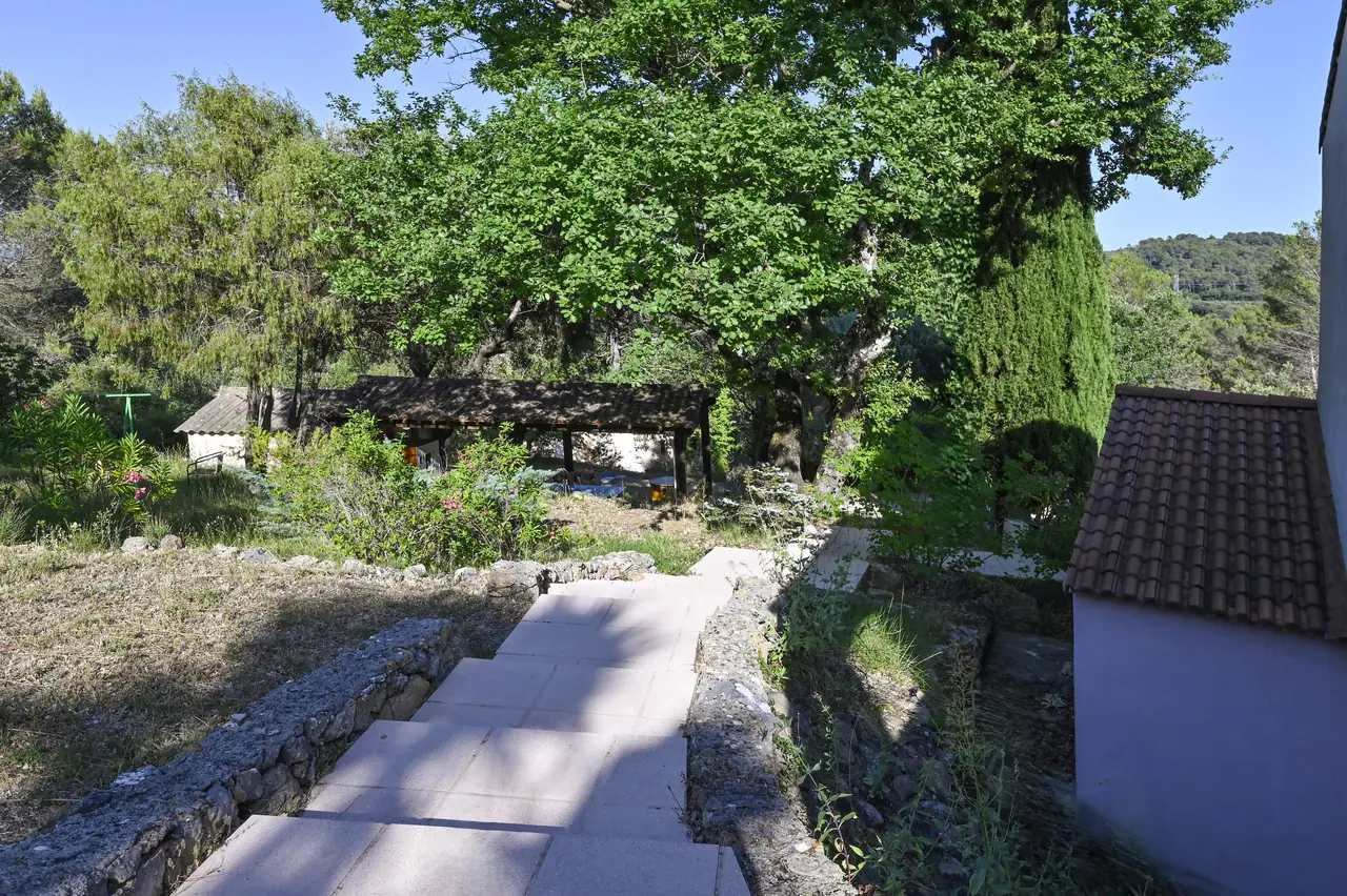 Les chemins du parc pour les marches méditatives