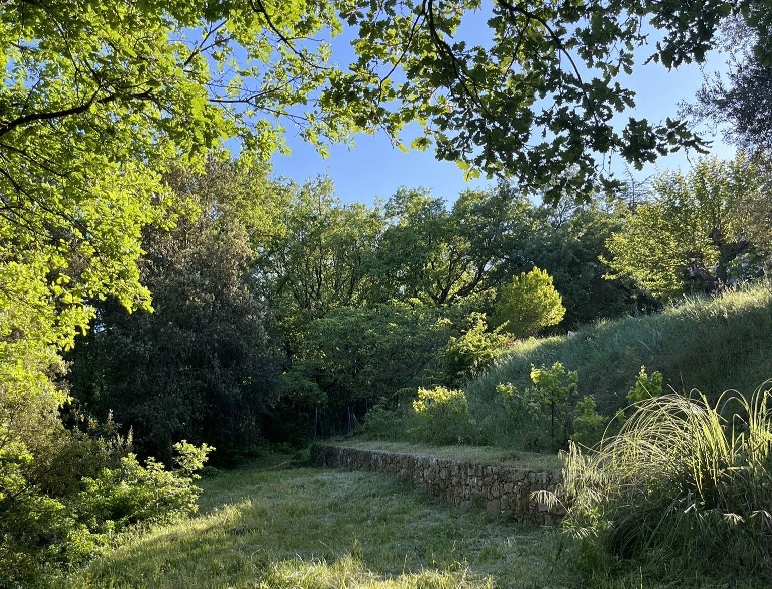 The natural wooded grounds of Domaine de l'Issole in the Haut Var